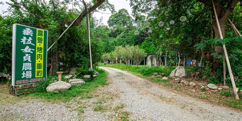 垂枝女真農場 相片|南投縣竹山鎮垂枝女貞農場 :: 台灣露營好去處